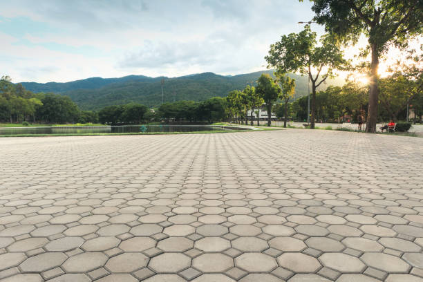Best Custom Driveway Pavers  in Youngsville, NC