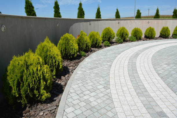 Best Paver Driveway Replacement  in Youngsville, NC